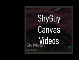 ShyGuy Canvas Videos